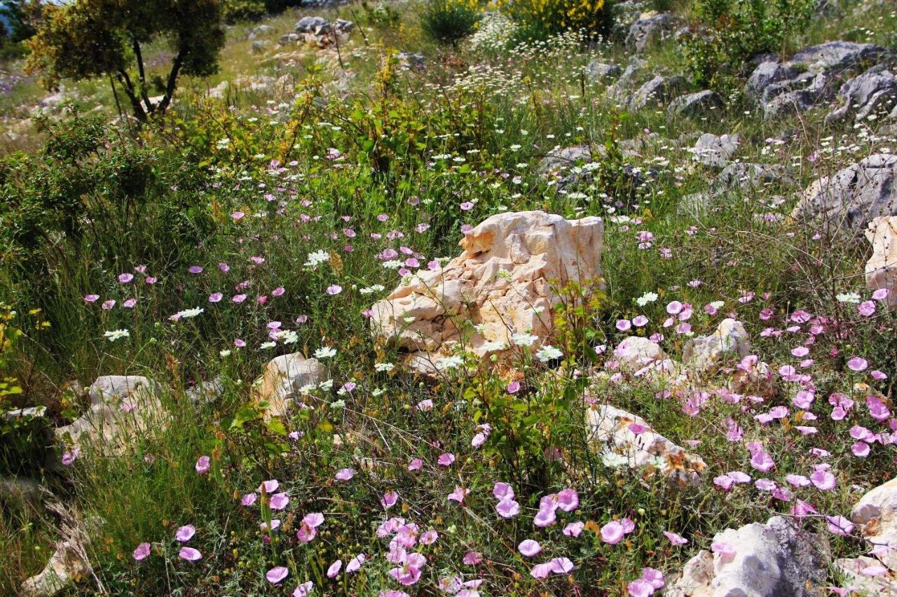 Villa Zlatno Sunce In The Hills Near Trogir Vrsine Exterior photo